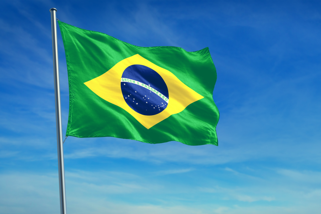 Brazilian Flag